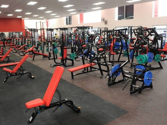 World Gym Maitland