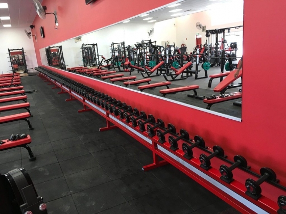 World Gym Maitland