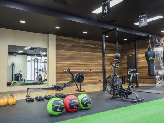 12 Round Fitness Epping